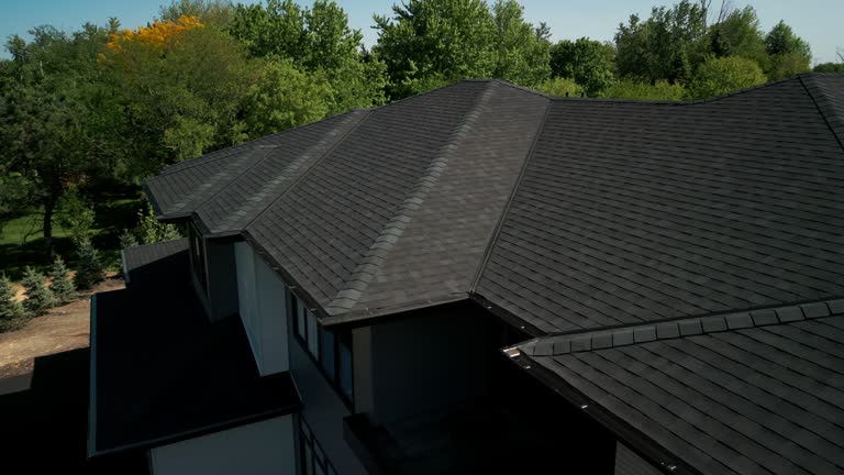 Best Metal Roofing Installation  in Colorado City, AZ